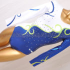 Christian Moreau クリスチャンモロー ロングスリーブ体操レオタード 光沢ブルー×ホワイト