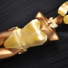 DARM アトリエダーム バニースーツ バニーガール衣装 ７点セット ゴールド